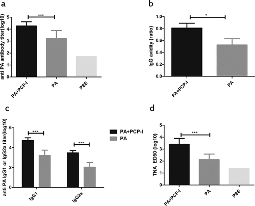 Figure 1. PCP-I enhances antibody responses against PA. Groups of mice (BALB/c, n = 6) were immunized three times i.m. at two-week intervals with 0.5 μg of PA unadjuvanted or adjuvanted with PCP-I (200 μg). The mice of the control group were injected with PBS. Mice were bled 14 days following their last immunization for measurement of anti-PA antibodies (a), antibody avidity (b), and IgG subclass titers (c) by ELISA. The toxin-neutralizing antibody titers were measured by TNA (d). Results are presented as the mean ± SD (*p < .05, ***p < .001).