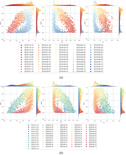 Figure 4. Scatterplots of the interpolated NDVI values during each S-1 acquisition as a function of the moving average of in and the coherence in VV (ρVV) and VH polarization ρVH during the wheat-growth cycles for all the reference fields (each point is a moving average variable colored by S-1 acquisition date): (a) 2018/2019 and (b) 2019/2020.