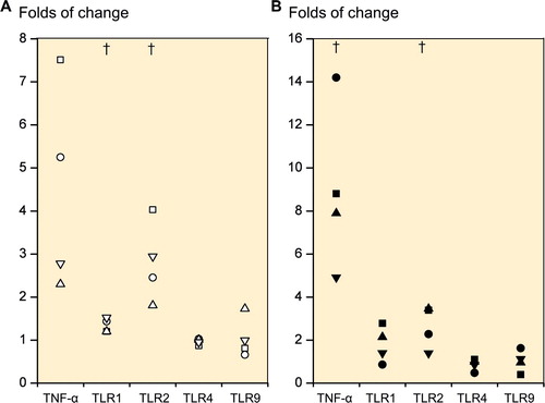 Figure 3. Folds of change in tumor necrosis factor-α (TNF-α) expression and TLR1, TLR2, TLR4, and TLR9 expression upon stimulation with TLR 1/2-specific ligand Pam 3CSK4. Primary 2D chondrocyte cultures (A) and 3D chondrocyte pellet cultures (B) at day 21 (i.e. produced from human mesenchymal stem cells at day 21). † p ≤ 0.05 compared to unstimulated cultures.