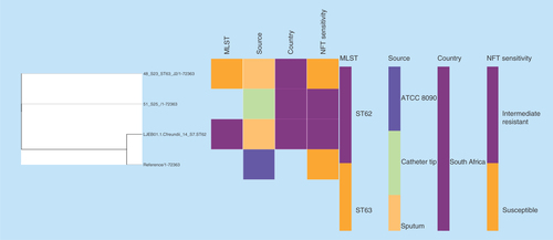 Figure 4.  Phylogenomic tree of Citrobacter freundii nitrofurantoin intermediate resistant strains from South Africa.Clustering of the strains into clades were mainly country- and clone-specific.MLST: Multi-locus sequence typing; NFT: Nitrofurantoin.