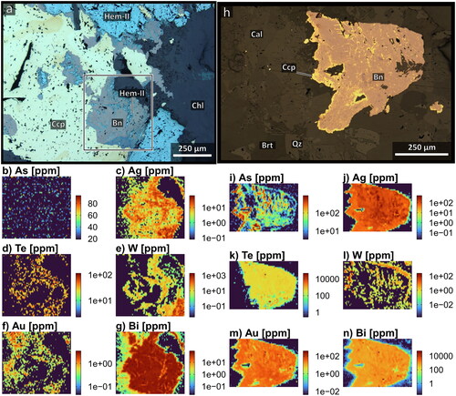 Figure 13. (a) Bornite replacing specular hematite. Both phases are overprinted by chalcopyrite. The black/white rectangle in (a) indicates the area imaged by LA-ICPMS shown in (b–g) (MH_STA_041, STD1119, 280.20 m). (h) Bornite with relict chalcopyrite carried on barite–carbonate vein above the Starra 222 ore zone. The black/white rectangle indicates the area imaged by LA-ICPMS shown in (i–n) (Sample MH_STA_028, STQ1119, 232.25 m).