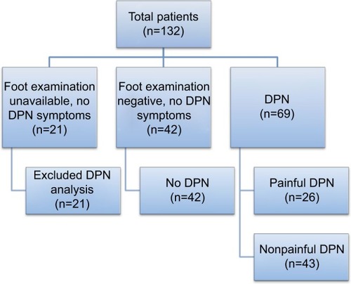 Figure 1 Identification of DPN and p-DN in PCSP Wellness Center diabetic patients.