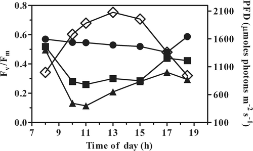 Fig. 1. Time course of the Fv/Fm ratio in P. tricornutum outdoor cultures, in an open pond and tubular photobioreactors (PBR) grown at different biomass concentrations (•, pond 0.3 g l−1; ▪, PBR 0.6 g l−1; ▴, PBR 0.3 g l−1). ◊, PFD (photon flux density, µmol m−2 s−1).