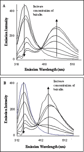 Figure 4.  Fluorescence emission spectra of angiotensin-I-converting enzyme excited at 295 nm showing the quench effect of baicalin alone (A) and baicalin in the presence of angiotensin I (B).