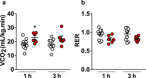 Figure 3. Average and individual values of carbon dioxide production (VCO2) (panel A) and respiratory exchange ratio (RER) of rats that received vehicle or CORM-401 (panel B) (n = 10 vehicle and n = 6 CORM-401 treated animals). *p < 0.05.