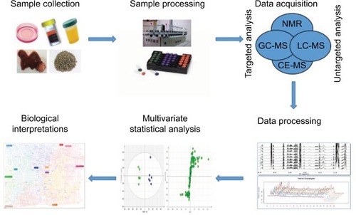 Figure 1 Typical processing flow of metabolomics in HCC.Notes: Proposed standards for metabolomics on HCC are presented in this schematic view. The first step is to collect the samples. Then, the collected samples are preprocessed and tested by different approaches. After acquisition, obtained data are processed and analyzed by multivariate statistical analysis. Lastly, the underlying biological interpretations are elucidated.Abbreviations: CE, capillary electrophoresis; GC, gas chromatography; HCC, hepatocellular carcinoma; LC, liquid chromatography; MS, mass spectrometry; NMR, nuclear magnetic resonance.