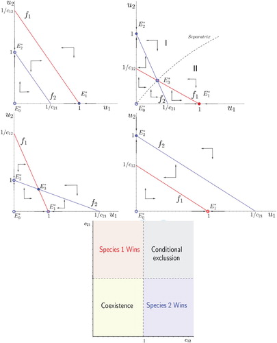 Figure 1. Top panel: possible phase portraits of the classical competition system (system (Equation4(4) u1′=r1u1−u12−c12u1u21+c1u1u2′=r2u2−u22−c21u2u11+c2u2(4) )) with c1=c2=0). Bottom panel: species competition outcomes as function of the competitive strength c12 and c21.