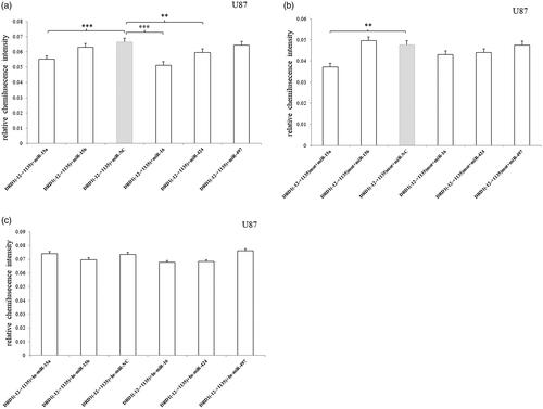 Figure 5. Relative luciferase activity of pmirGLO-recombined vectors containing 3′UTR –12 to +1135 bp fragment or mutated fragment after transfection of miRNA mimic/inhibitor in U87 cell. (a) miRNA-15a, miRNA-16 and miRNA-424 significantly inhibited the luciferase expression compared to the miR-NC. (b) Only miRNA-15a decreased the luciferase expression of 3′UTR-mutated fragment. (c) No effects were observed after the miRNA inhibitors were transfected. Normalized activities were compared with the NC (miR-NC/In-miR-NC). *p < .05, **p < .01 and ***p < .001. The error bars were standard deviation of the mean.