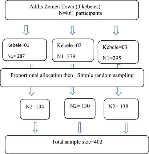 Figure 2 Schematic representation of the sampling procedure among postpartum women in Addis Zemen Town, South Gondar Zone, Ethiopia, 2019.