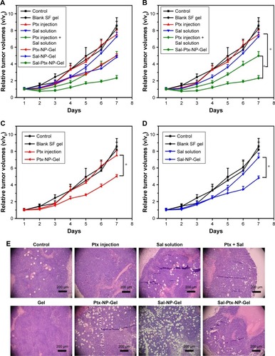 Figure 5 Anti-tumor efficacy of Sal-Ptx-NP-Gel.Notes: (A) Relative tumor volumes after treatment. (B), (C) and (D) are parts of (A) to clearly demonstrate the results. *P<0.05. (E) H&E staining of the tumors.Abbreviations: Sal, salinomycin; Ptx, paclitaxel; NP, nanoparticle; Gel, hydrogel.