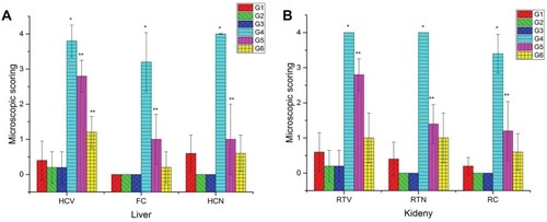 Figure 5 Microscopic scoring of both hepatic injury (A) and renal damage (B) in different groups. Data are represented as Mean ± SD. *Indicates significant difference from the corresponding control group (G1) at P ≤ 0.05 while **Indicates significant difference from the corresponding CuO-NPs group (G4) at P ≤ 0.05. Note: 0 = none, 1 = slight, 2 = mild, 3 = moderate, 4= severe tissue damage.Abbreviations: G1, control group; G2, group received 1 mL/kg bwt PJ; G3, group received 3 mL/kg bwt PJ; G4, group received CuO-NPs; G5, group received CuO-NPs + 1 mL/kg bwt PJ; G6, group received CuO-NPs + 3 mL/kg bwt PJ; HCV, hepatocellular vacuolization; FC, fatty change, HCN, hepatocellular necrosis; RTV, renal tubular vacuolization; RTN, renal tubular necrosis; RC, intraluminal hyaline droplets and cast.