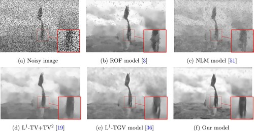 Figure 6. The obtained denoised image compared to other classical approaches for the (Penguin image), where the noise is considered to be impulse one of parameter 0.5: (a) Noisy image, (b) ROF model [Citation3], (c) NLM model [Citation51], (d) L1-TV+TV2 [Citation19], (e) L1-TGV model [Citation36] and (f) Our model.
