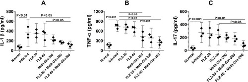 Figure 8 Treatment with a combination of Meth-Gin and FLZ reduces the levels of pro-inflammatory cytokines in the vaginal tissues. Vaginal tissues were excised and homogenized to determine the levels of cytokines (A) IL-1β, (B) TNF-α and (C) IL-17. A P value <0.05 was considered to be significant. The data are represented as mean ± SD of two independent experiments.
