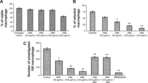 Figure 4 Macrophage infection assay (ex vivo) to determine the effect of compound 2NB on intracellular amastigotes.