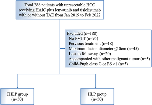 Figure 1 Patient flowchart. A patient might meet several exclusion criteria, but they were excluded only once from the uppermost criteria.