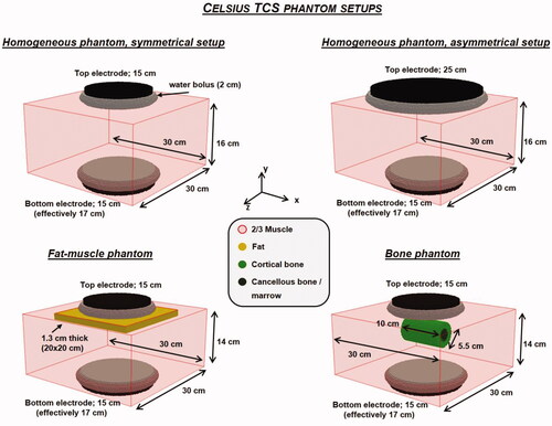 Figure 3. Different phantom set-ups evaluated for the Celsius TCS capacitive hyperthermia device. Measurements for these set-ups have been reported by Beck et al. [Citation25], which were used here to validate treatment planning predictions by Plan2Heat.