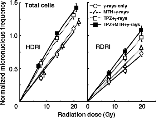 Figure 2. The normalized micronucleus frequencies after γ-ray irradiation with conventional high dose-rate irradiation (HDRI) (left panel) or reduced dose-rate irradiation (RDRI) (right panel) in combination with tirapazamine (TPZ) and/or mild temperature hyperthermia (MTH) or without TPZ or MTH in the total tumour cell population. TPZ was given by continuous subcutaneous administration. Bars represent 95% confidence limits.