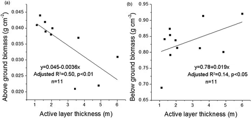 Figure 6. Relationships between active-layer thickness and above- and belowground biomass