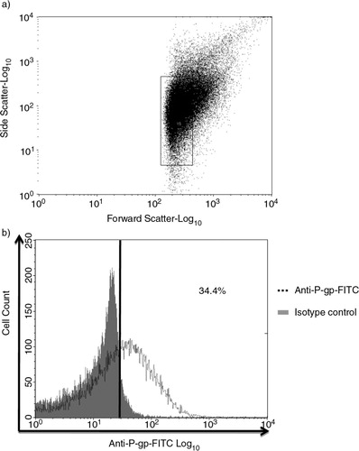 Fig. 1 Characterization of microparticles (MPs) isolated from MCF-7/Dx cells. a) MPs isolated from MCF-7/Dx cells were analysed via flow cytometry and gated based on sized latex beads (0.3–1.1 µM); b) 34.4% of the gated MP population detected positive for P-gp expression using anti-P-gp mAb (BD Bioscience). All experiments were repeated at least 3 times with similar results. Data are representative of a typical experiment.
