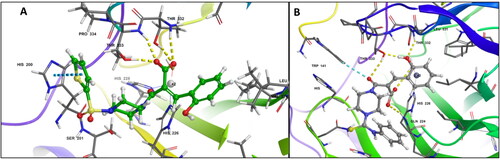 Figure 2. (A) Docking pose of compound 6c (green) (B) docking pose of compound 7c (grey) in the active site of hCA IX (PDB ID: 5DVX) Zn2+ is represented as grey sphere.