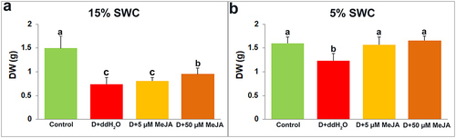 Figure 3. The effect of foliar applied MeJA on I. walleriana shoots DW at 15 (A) and 5% SWC (B). SWC – soil water content; DW – dry weight. Results are presented as mean ± SE, with significant differences between treatments based on LSD test (p ≤ 0.05).