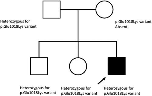 Figure 3. Pedigree chart showing affected proband, heterozygous father and two siblings and unaffected mother.