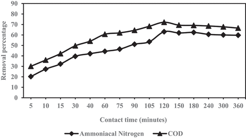 Figure 3. Percentage of COD and NH3-N removal against different shaking time of green mussel and zeolite