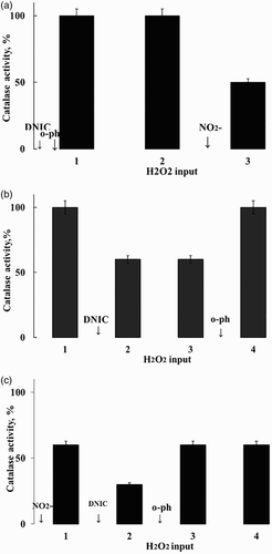 Figure 3 The effect of hemoglobin and o-phenanthroline on the ability of DNIC/GSH (А, B) and nitrite (C) to decrease catalase activity. The following reagents – DNIC/GSH – 5.0 µМ; KNO2 – 0.15 µМ; o-phenanthroline (о-ph) – 0.5 mM were added to the reaction medium 1 minute before initiating the catalase reaction. It was initiated by the addition of 10.0 mM Н2О2 into the reaction medium. Every subsequent addition of 10.0 mM Н2О2 was made after a complete destruction of previously added Н2О2. The reaction medium in all cases contained 40 mM phosphate buffer, 150 mM NaCl, 9.0 nM catalase, 200 µМ hemoglobin, pH 6.0.