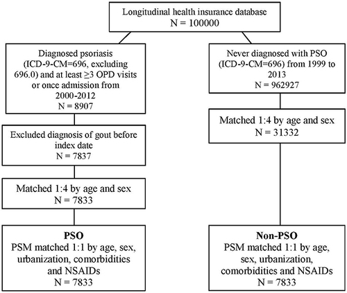 Figure 1 Flow chart of the study design.