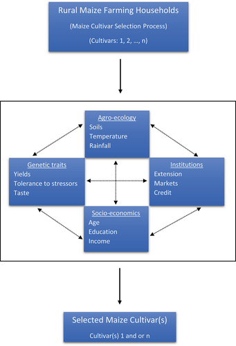 Figure 1. Conceptual framework.