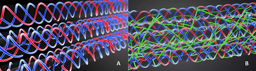 Figure 1 (A) Schematic of tropocollagen molecules (the basic structural unit of collagen, represented as two blue helices and one red helix) in a subfibril of the annulus fibrosus matrix; (B) a similar schematic after the addition of genipin oligomer “tethers” (green bands) attached to the subfibril, creating a reinforced construct that is more robust than the native (degraded) subfibril.
