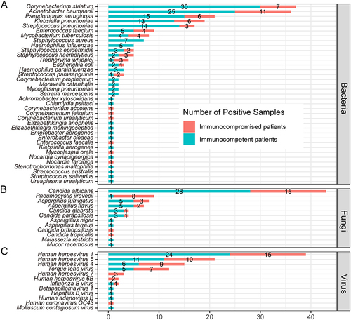 Figure 6 Comparison of microorganisms detected by mNGS between immunocompetent and immunocompromised patients with pneumonia in bacteria (A), fungi (B) and virus (C) levels.