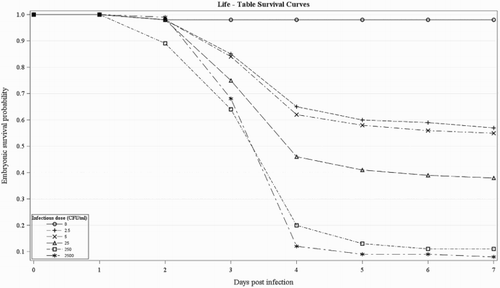 Figure 2. Survival curves of 10-day-old chicken embryos inoculated into the AC with different infectious doses of the E. faecalis strain K923/96.