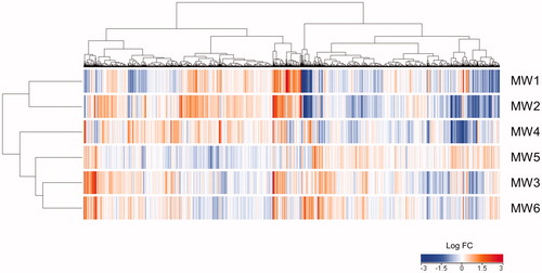 Figure 6. Effects of MWCNTs on gene expression in NR8383 cells. The heat map generated from comprehensive DNA microarray data reflects differential expression of genes in NR8383 cells exposed to MW1–MW6 for 24 h. MWCNT: multi-walled carbon nanotube.