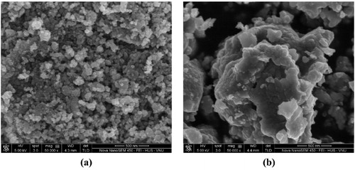 Figure 11. The microphotograph of surface morphology of N-TiO2 prepared at (a) pH 2 and (b) pH 4 with magnification ×50,000.