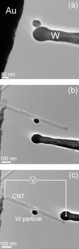 Figure 1 TEM images showing in situ sample preparation: (a) fabrication of a W particle, (b) placement with a W tip of the particle produced in (a) on a CNT attached to a gold wire, (c) contacting the CNT with the W tip and applying bias voltage to the CNT.