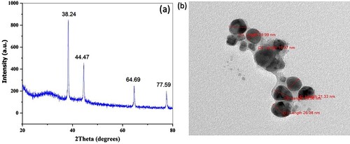 Figure 3. (a) XRD pattern of biosynthesized silver nanoparticles and (b) TEM image of biosynthesized silver nanoparticles.