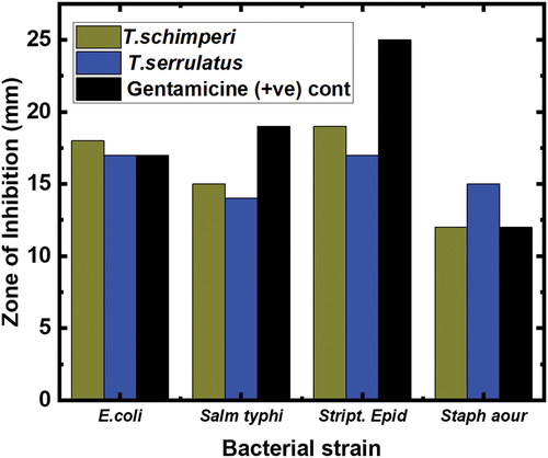 Figure 5. Antibacterial activities of T.schimperi, T.serrulatus essential oil and gentamicin.