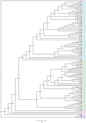 Figure 1. Phylogenetic relationships of Cytochrome P450 family in P. eryngii.