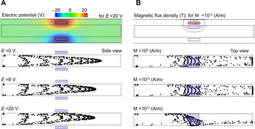 Figure 4 Parameter selection for electric and magnetic fields applicable to the design of a paranasal delivery system.Notes: (A) Electric field, and (B) magnetic field.Abbreviation: M, magnetization.