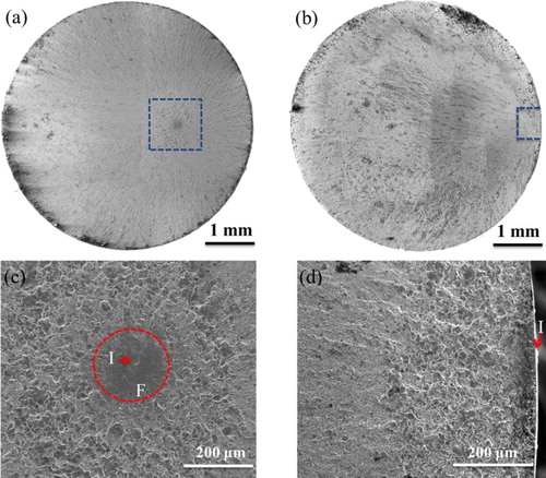 Figure 4. SEM morphologies of fracture surface of (a) the SMRT sample and (b) the AR sample after fatigue tests at a stress amplitude of 950 MPa. (c) and (d) Showing the magnified images of the boxed zones on (a) and (b), respectively. The regions of crack initiation and the fish-eye are marked by I and F, respectively.