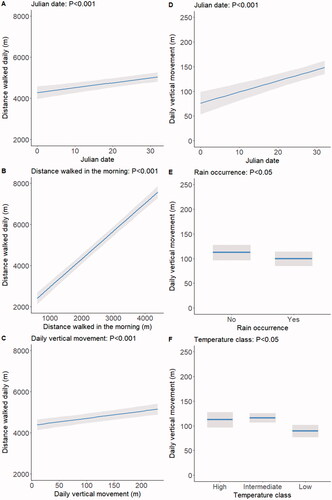 Figure 2. Effects on distance walked daily of Julian date, distance walked in the morning and daily vertical movement (panels A, B, and C, respectively), and effects on daily vertical movement of Julian date, rain occurrence, and temperature class (panels D, E, and F, respectively). Shaded areas indicate 95% confidence intervals. Only significant effects are shown; for details of the parametric coefficients of the statistical models see Supplementary Table S1.
