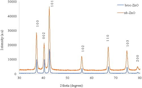 Figure 1. P-XRD patterns of (a) broc-ZnO and (b) nb-ZnO nanoparticles.