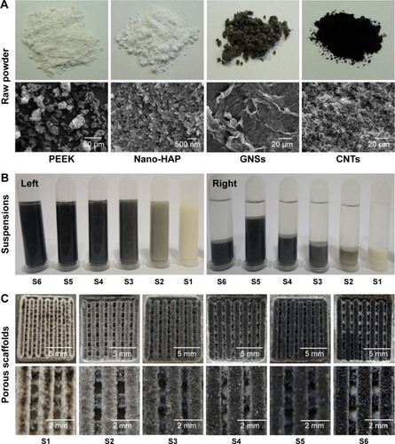 Figure 1 Raw materials, suspensions, and porous scaffolds.Notes: (A) Optical and SEM micrographs of raw materials. (B) Optical micrographs of composite powder/NMP suspensions (left, 0 hour after sonication; right, 72 hours of storage after sonication). (C) Optical micrographs of porous scaffolds. S1, PEEK–10 wt% nano-HAP; S2, PEEK–10 wt% nano-HAP–1 wt% GNSs; S3, PEEK–10 wt% nano-HAP–0.8 wt% GNSs–0.2 wt% CNTs; S4, PEEK–10 wt% nano-HAP–0.5 wt% GNSs–0.5 wt% CNTs; S5, PEEK–10 wt% nano-HAP–0.2 wt% GNSs–0.8 wt% CNTs; S6, PEEK–10 wt% nano-HAP–1 wt% CNTs.Abbreviations: CNTs, carbon nanotubes; GNSs, graphene nanosheets; HAP, hydroxyapatite; NMP, N-methyl-2-pyrrolidone; PEEK, polyetheretherketone; SEM, scanning electron microscopy.