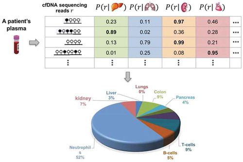 Figure 1. Illustration of tissue composition inference problem. Scheme identifying tissue-of-origin likelihood of cfDNA sequencing reads and their use for inferring normal tissue composition of plasma cfDNAs