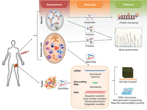 Figure 1. Biospecimens, molecules and omics platforms that can be used in the context of cancer immunotherapy studies.Each platform can have a multitude of applications, some of which are described in the text.Adapted with modifications from Citation[39].