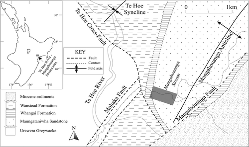 Fig. 1  Location map of the study area (grey box), lower Mangahouanga Stream section, northwest Hawke's Bay.