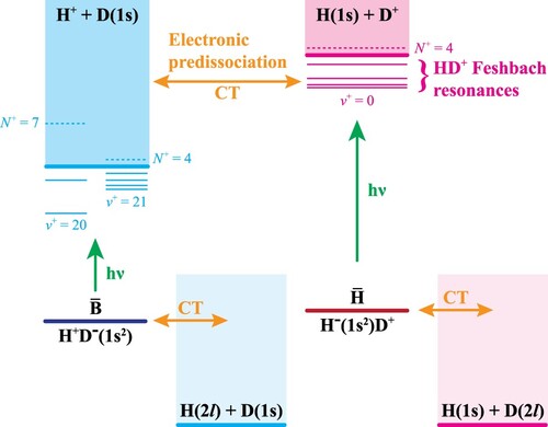 Figure 10. Schematic illustration of the dissociation dynamics in the H¯ and B¯ states of HD and in the X+ and A+ states of HD+. The upper blue and magenta level schemes correspond to the weakly bound rovibrational levels of HD+ and the dissociative-ionisation continua associated with the H+ + D(1s) and H(1s) + D+ dissociation thresholds, respectively, which correlate adiabatically to the X+ and A+ electronic states of HD+. Resonances that can be classified as shape and Feshbach resonances are drawn as dashed and full horizontal lines, respectively. The lower pale blue and magenta dissociation continua are associated with the H(2l) + D(1s) and H(1s) and D(2l) dissociation continua of HD. The green and orange arrows indicate the bright one-electron charge-transfer excitation and the one-electron charge-transfer predissociation, respectively. See text for details.