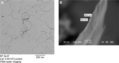Figure 3 TEM and SEM images of MWCNTs-SEBS and graphene oxide, respectively.Notes: (A) TEM image of a MWCNTs–SEBS composite after a 5-minute sonication. The MWCNTs are well dispersed (SEBS are not visible in TEM). (B) Scanning electron microscopy image of a graphene oxide layer.Abbreviations: MWCNTs, multiwalled carbon nanotubes; SEBS, poly(styrene-b-(ethylene-co-butylene)-b-styrene); TEM, transmission electron microscopy; SEM, scanning electron microscope.
