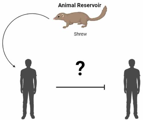 Figure 2. Transmission of LayV from shrew to human is known, but it is unclear whether human-to-human transmission of LayV is also possible.